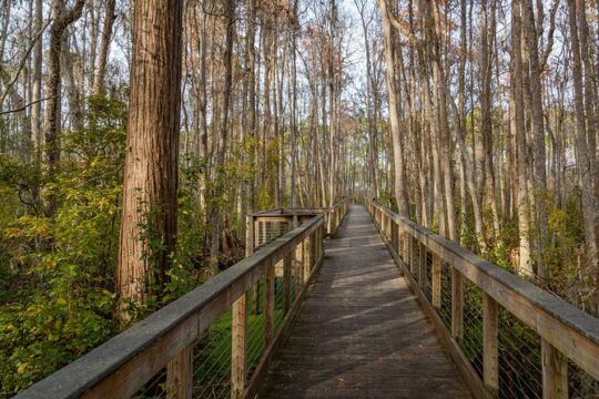 Self Guided E-Bike Tour of Panama City Beach