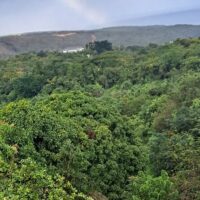 Sustainable Tours