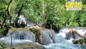 Amazing waterfalls!
