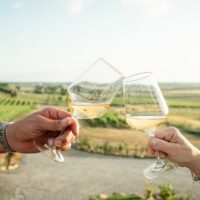 Beer & Brewery Tours