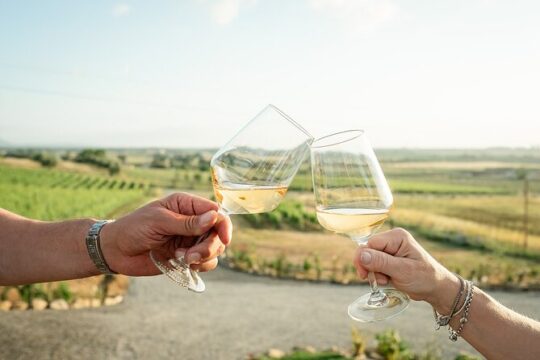 Winery tour and wine tasting in Maremma