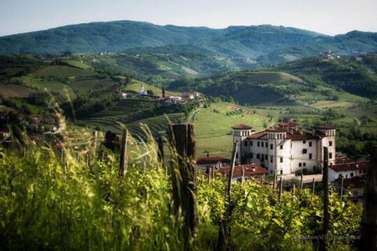 Meet Tuscany's Sister (private V.i.p. Tour)
