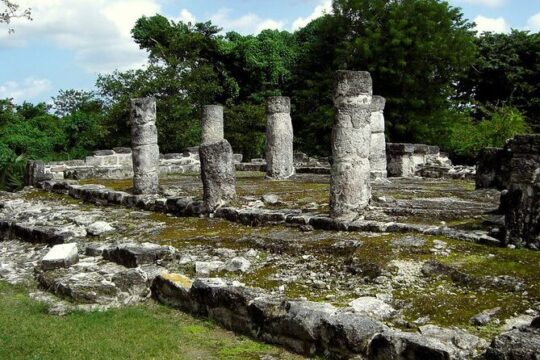 Half-day Cozumel Island Guided Tour with Dinner
