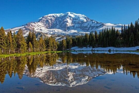 From Portland to Mt. Rainier Tour in a Small Group