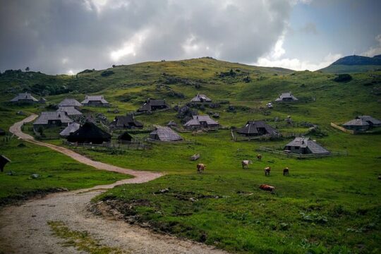 Velika planina and Logarska dolina with picnic (private tour)