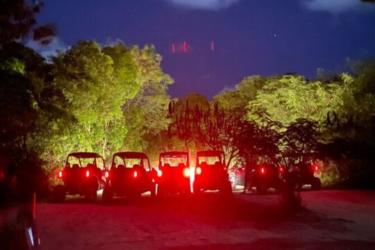 Polaris At Night, Waterfall Pool + Surf & Turf Dinner