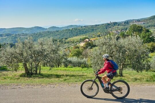 E-Bike Adventure to Fiesole from Florence with Olive Oil Tasting