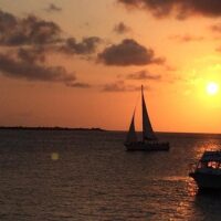 Cruises, Sailing & Water Tours