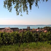 Private & Custom Tours