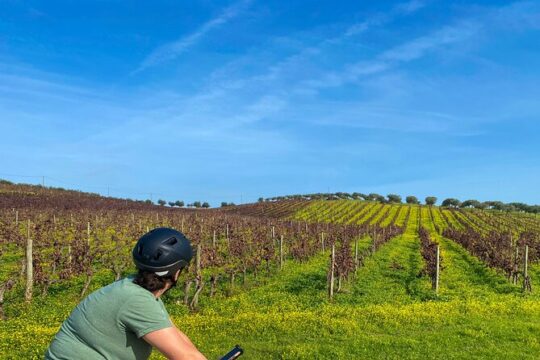 7-Day Portugal Self-Guided Bike Tour w/ Hotels & Luggage Transfer