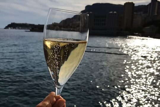 Private Boat Tour 1 hour Como