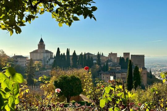 Private Tour of Granada Alhambra with Tickets Included