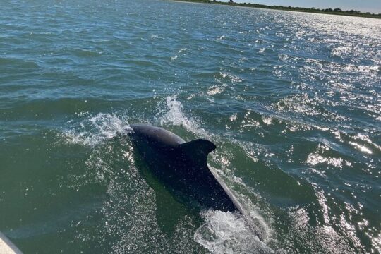 Maryland Coastal Bays Environmental Education Trip