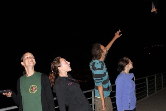 Bat Watching Madeira