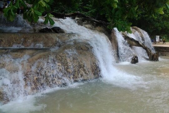 Dunn's River Falls Excursion from Ocho Rios