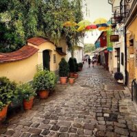 Tours & Sightseeing