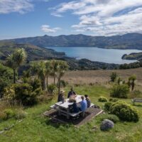 Cultural & Theme Tours