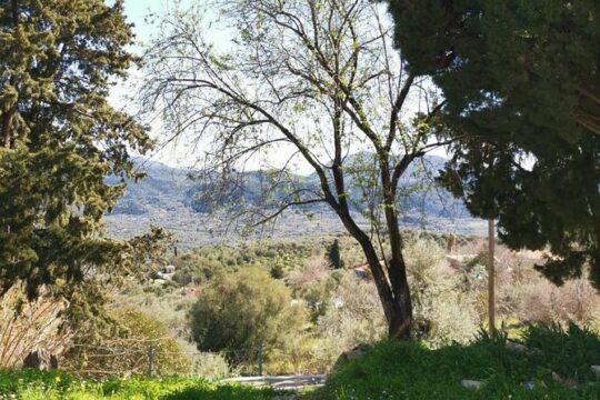 Agios Petros Top of the mountan Tour