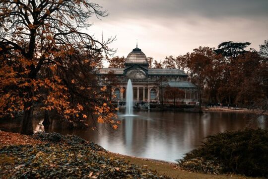 Enchanting Moments Professional Photoshoot at Retiro Park