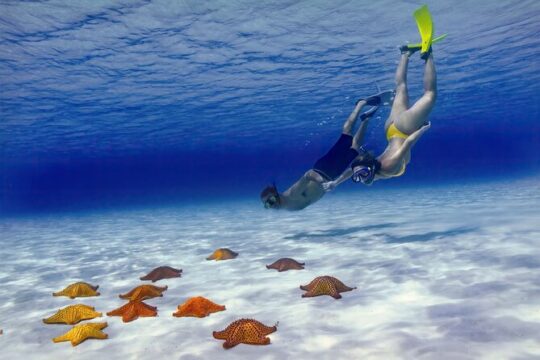 VIP Snorkel El Cielo Cozumel, 2 Reefs + Snacks + Drinks