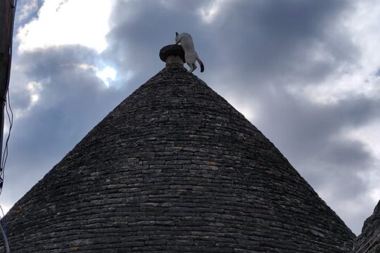 Guided tour of Alberobello