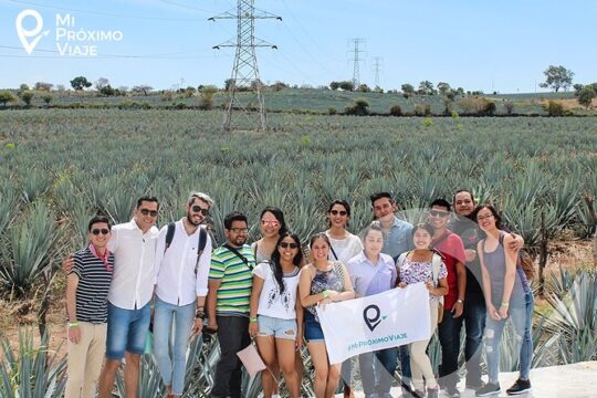 Tour to Tequila and Los Cantaritos de Amatitán from Guadalajara
