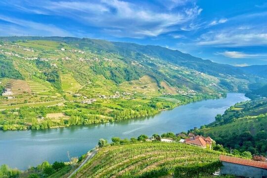 Douro Valley Exclusive Private Tour