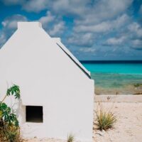 Day Trips & Excursions