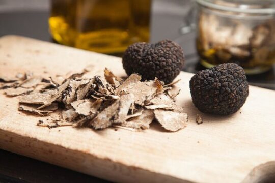 Truffle Search with Lunch or Dinner in Tuscany