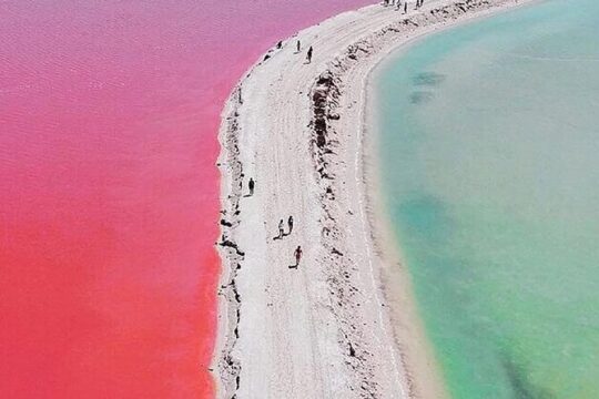 Las coloradas and río lagartos, a daily scape to paradise
