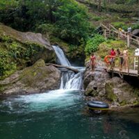Coffee & Tea Tours