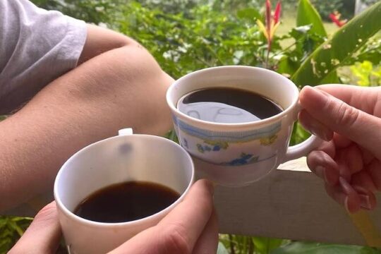 Coffee Farm Tour from Port Antonio
