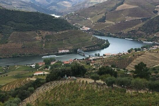 Douro Private Tour through Peso da Régua and Pinhão