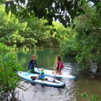 Stand Up Paddleboarding