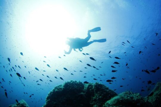 Diving for professionals in Tavolara and Molara from San Teodoro
