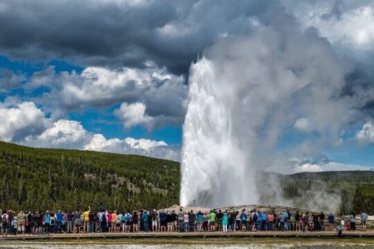 Las Vegas Yellowstone National Park 7 Day Tour From Los Angeles