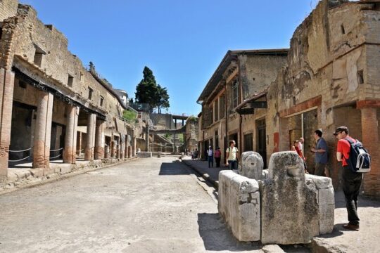 Ultimate Herculaneum Tour from Naples with Lunch
