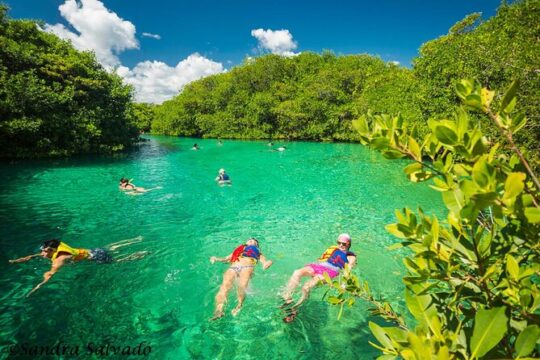 Tulum Area Experiences Guided Scooter Tour Snorkel/Swim Casa Cenote & Lunch
