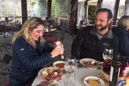 Pompeii SkipTheLine and Mt Vesuvius with Lunch&WineTasting from Naples Port
