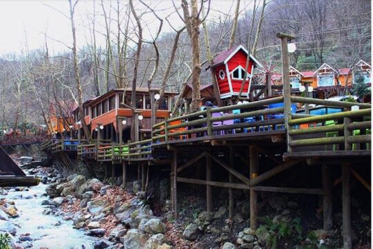 Sapanca and Zoo Private Tour From Istanbul - VIP Minivan - Best Quality