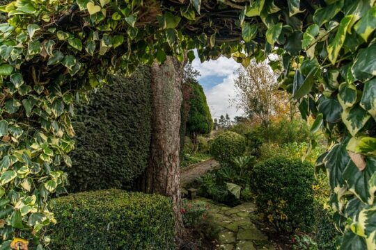 Oxford and Cotswolds Village 11 Hour Day Tour from London