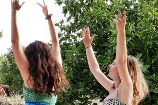 Dancing under the olive trees: typical Pizzica and Taranta Dances