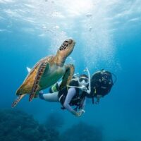 Scuba Diving