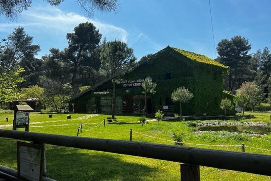 Albanian Gems: Berat and Karavasta Lagoon Day Trip