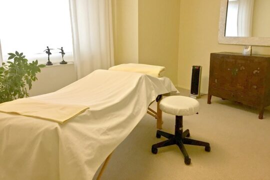Reiki Energy Healing Session