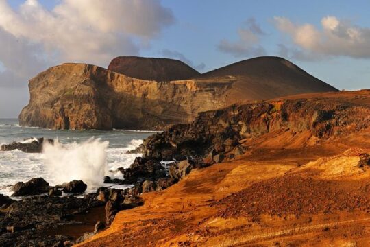 Half Day Faial Island Tour -Local Biologist