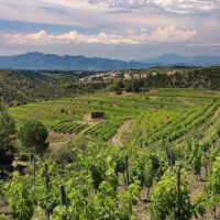 Overnight Tours