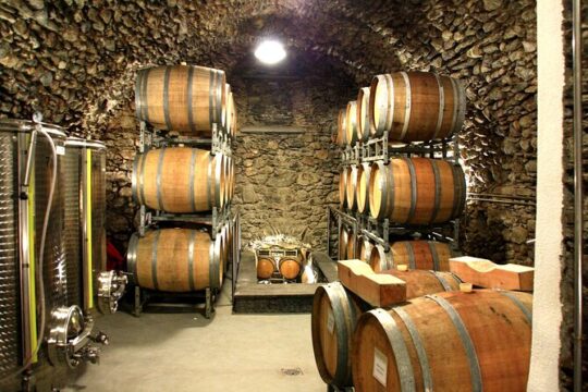Organic Farms and Natural Wines Private Tour in Valtellina