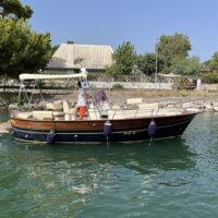 Day Cruises