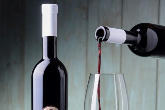 Castle Rajhenburg and House of Wines & Chocolate - Private tour from Ljubljana